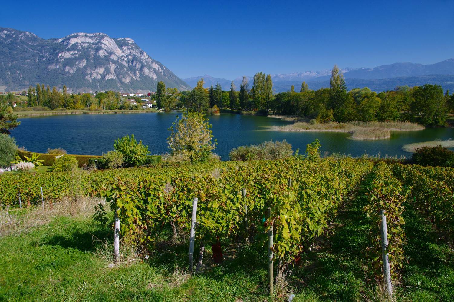 Lac de Saint-André à 45 minutes de trajet de l'hôtel